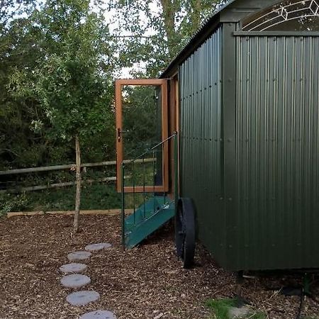 Glamping Malvern Shepherd Hut エクステリア 写真