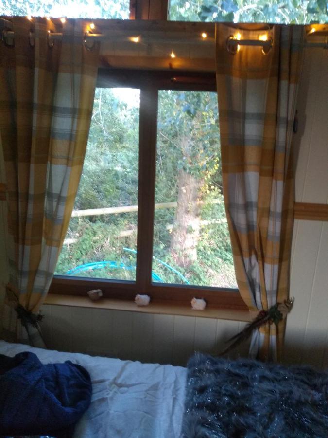Glamping Malvern Shepherd Hut エクステリア 写真