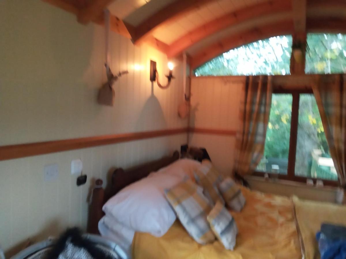 Glamping Malvern Shepherd Hut エクステリア 写真