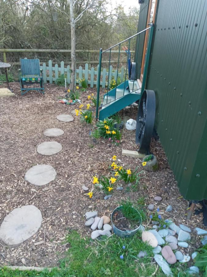 Glamping Malvern Shepherd Hut エクステリア 写真