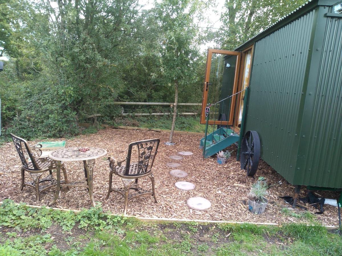 Glamping Malvern Shepherd Hut エクステリア 写真